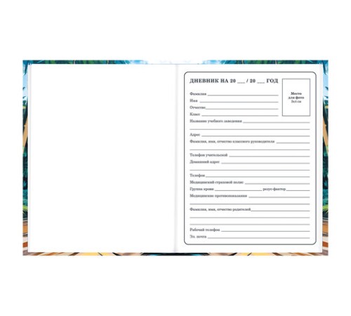 Дневник 1-4 класс 48 л., твердый, BRAUBERG, глянцевая ламинация, с подсказом, 