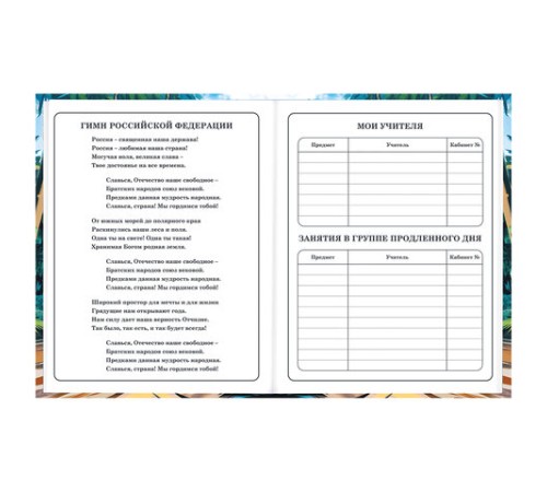 Дневник 1-4 класс 48 л., твердый, BRAUBERG, глянцевая ламинация, с подсказом, 