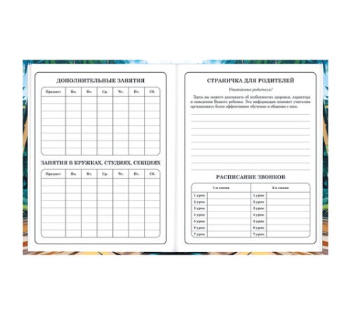 Дневник 1-4 класс 48 л., твердый, BRAUBERG, глянцевая ламинация, с подсказом, 