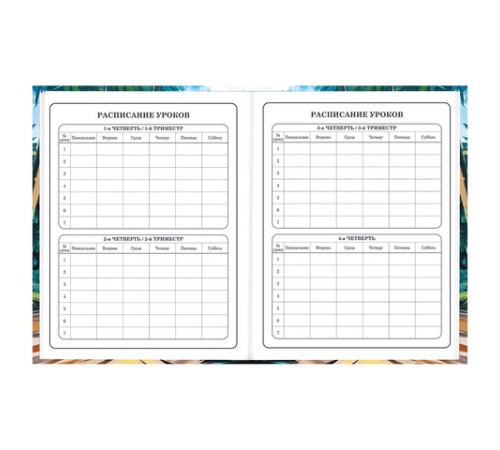 Дневник 1-4 класс 48 л., твердый, BRAUBERG, глянцевая ламинация, с подсказом, 