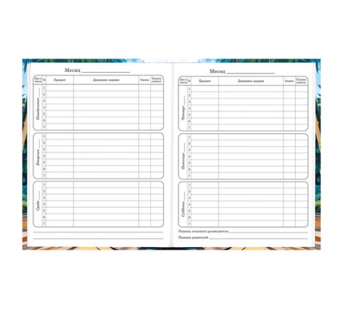 Дневник 1-4 класс 48 л., твердый, BRAUBERG, глянцевая ламинация, с подсказом, 