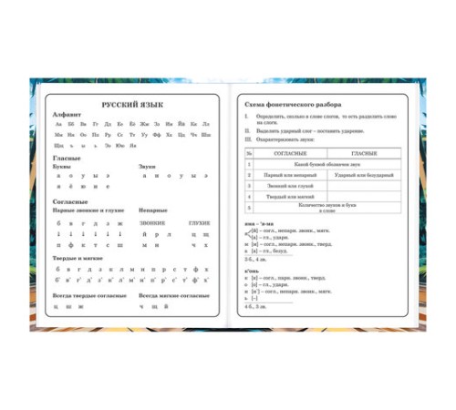 Дневник 1-4 класс 48 л., твердый, BRAUBERG, глянцевая ламинация, с подсказом, 