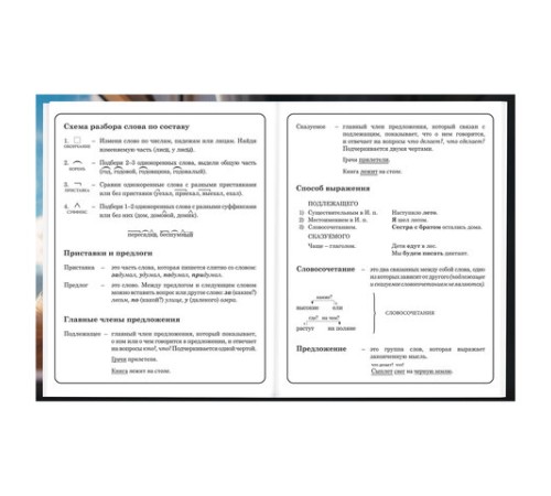 Дневник 1-4 класс 48 л., твердый, BRAUBERG, глянцевая ламинация, с подсказом, 