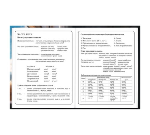 Дневник 1-4 класс 48 л., твердый, BRAUBERG, глянцевая ламинация, с подсказом, 
