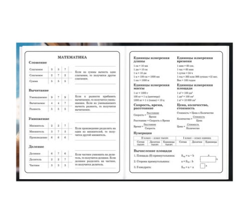 Дневник 1-4 класс 48 л., твердый, BRAUBERG, глянцевая ламинация, с подсказом, 