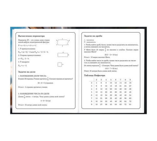 Дневник 1-4 класс 48 л., твердый, BRAUBERG, глянцевая ламинация, с подсказом, 