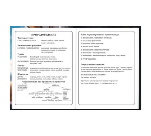 Дневник 1-4 класс 48 л., твердый, BRAUBERG, глянцевая ламинация, с подсказом, 