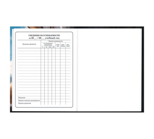 Дневник 1-4 класс 48 л., твердый, BRAUBERG, глянцевая ламинация, с подсказом, 