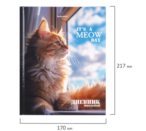 Дневник 1-4 класс 48 л., твердый, BRAUBERG, глянцевая ламинация, с подсказом, 