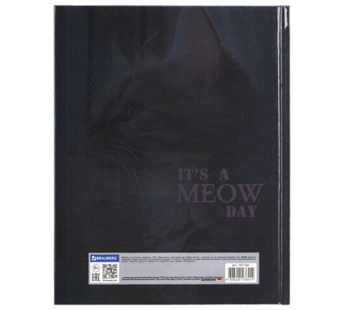 Дневник 1-4 класс 48 л., твердый, BRAUBERG, глянцевая ламинация, с подсказом, 