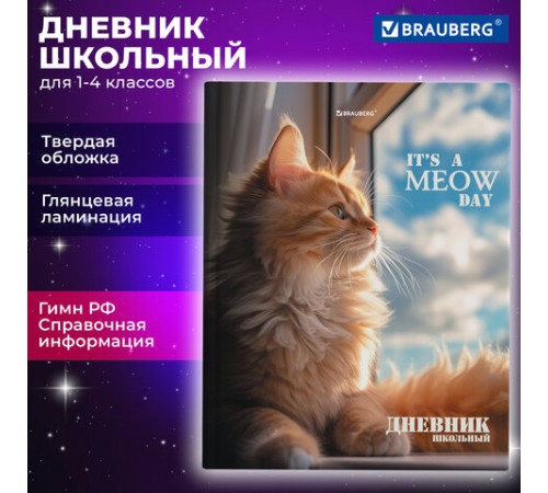 Дневник 1-4 класс 48 л., твердый, BRAUBERG, глянцевая ламинация, с подсказом, 