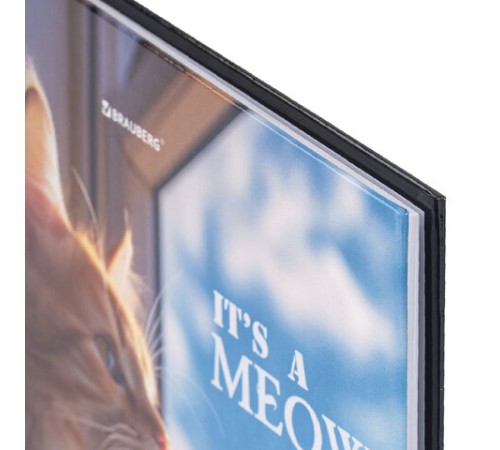 Дневник 1-4 класс 48 л., твердый, BRAUBERG, глянцевая ламинация, с подсказом, 