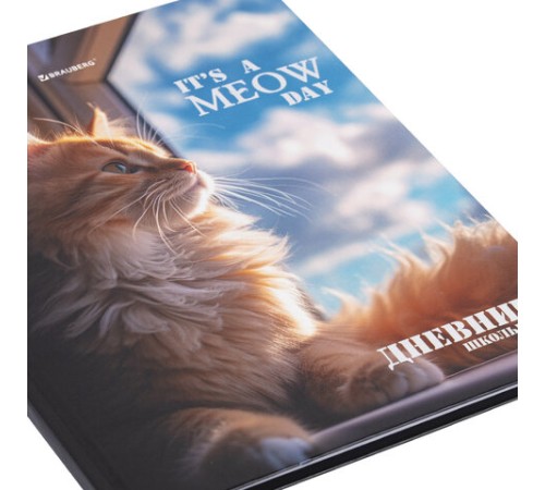 Дневник 1-4 класс 48 л., твердый, BRAUBERG, глянцевая ламинация, с подсказом, 