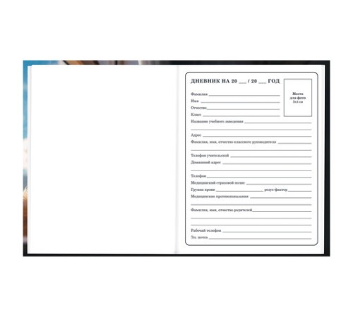 Дневник 1-4 класс 48 л., твердый, BRAUBERG, глянцевая ламинация, с подсказом, 