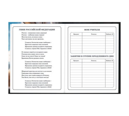 Дневник 1-4 класс 48 л., твердый, BRAUBERG, глянцевая ламинация, с подсказом, 