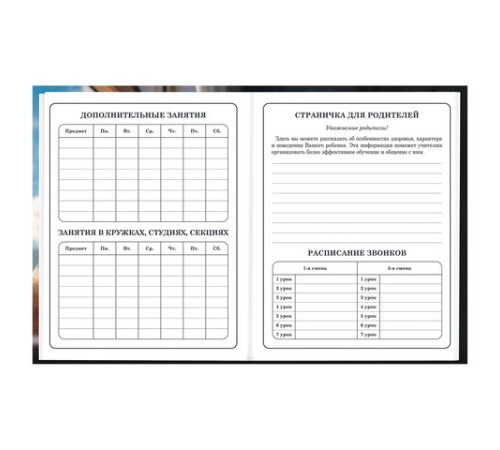 Дневник 1-4 класс 48 л., твердый, BRAUBERG, глянцевая ламинация, с подсказом, 