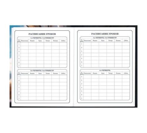 Дневник 1-4 класс 48 л., твердый, BRAUBERG, глянцевая ламинация, с подсказом, 