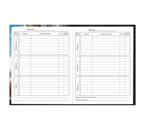 Дневник 1-4 класс 48 л., твердый, BRAUBERG, глянцевая ламинация, с подсказом, 