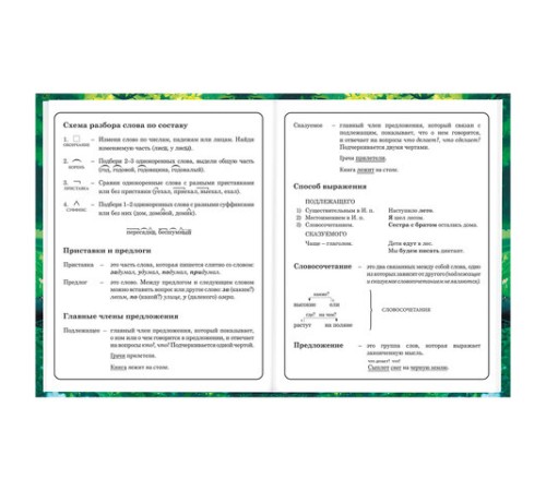 Дневник 1-4 класс 48 л., твердый, BRAUBERG, глянцевая ламинация, с подсказом, 