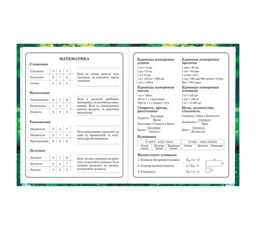 Дневник 1-4 класс 48 л., твердый, BRAUBERG, глянцевая ламинация, с подсказом, 