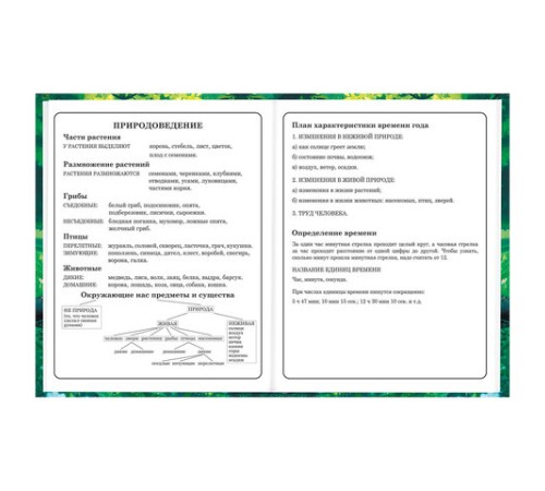 Дневник 1-4 класс 48 л., твердый, BRAUBERG, глянцевая ламинация, с подсказом, 