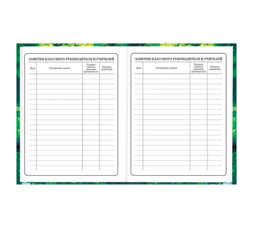 Дневник 1-4 класс 48 л., твердый, BRAUBERG, глянцевая ламинация, с подсказом, 