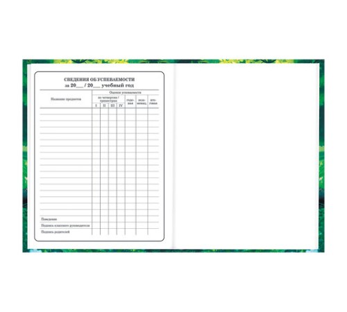 Дневник 1-4 класс 48 л., твердый, BRAUBERG, глянцевая ламинация, с подсказом, 