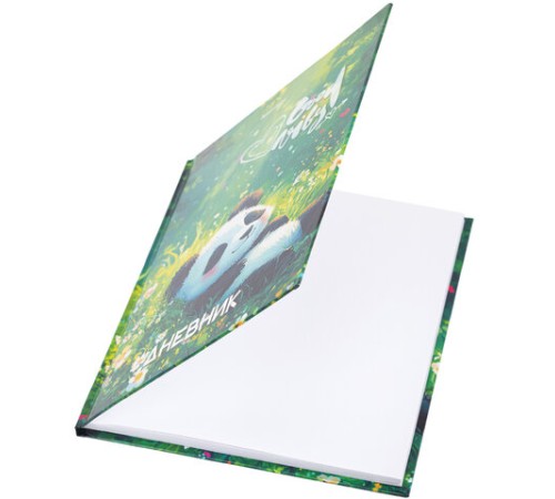 Дневник 1-4 класс 48 л., твердый, BRAUBERG, глянцевая ламинация, с подсказом, 