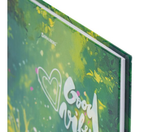 Дневник 1-4 класс 48 л., твердый, BRAUBERG, глянцевая ламинация, с подсказом, 