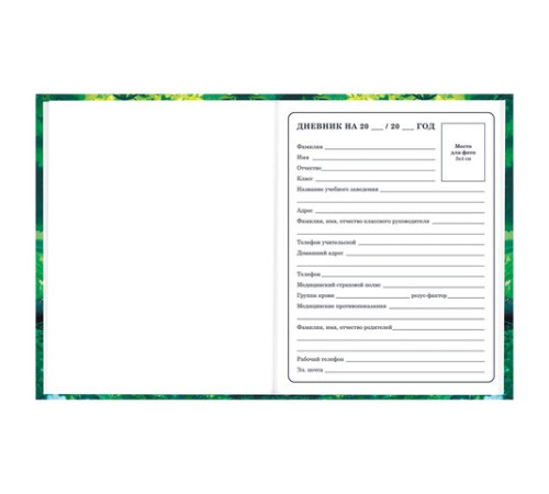 Дневник 1-4 класс 48 л., твердый, BRAUBERG, глянцевая ламинация, с подсказом, 
