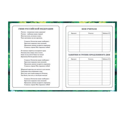 Дневник 1-4 класс 48 л., твердый, BRAUBERG, глянцевая ламинация, с подсказом, 