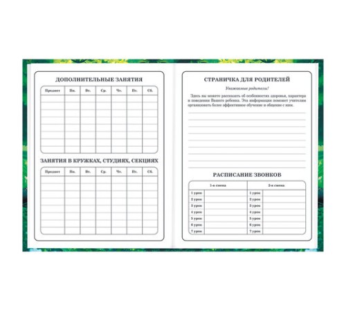 Дневник 1-4 класс 48 л., твердый, BRAUBERG, глянцевая ламинация, с подсказом, 