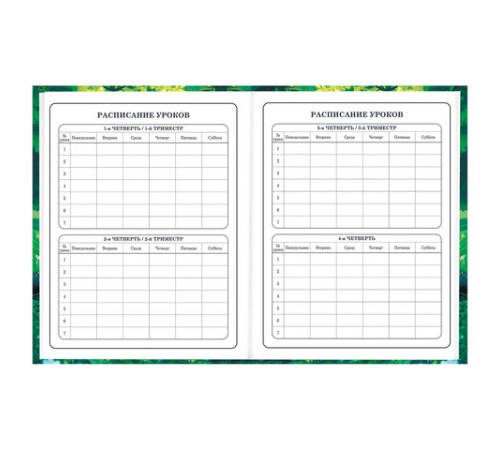 Дневник 1-4 класс 48 л., твердый, BRAUBERG, глянцевая ламинация, с подсказом, 