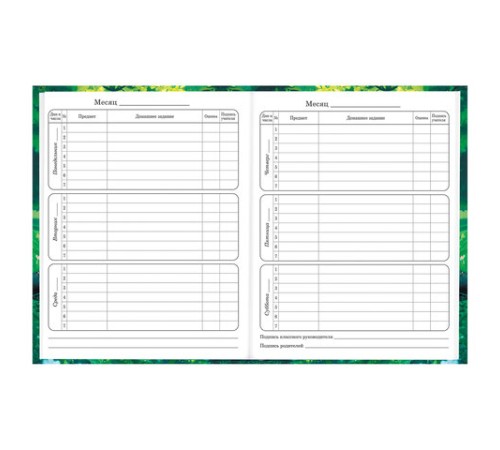 Дневник 1-4 класс 48 л., твердый, BRAUBERG, глянцевая ламинация, с подсказом, 