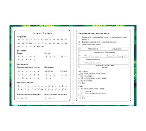 Дневник 1-4 класс 48 л., твердый, BRAUBERG, глянцевая ламинация, с подсказом, 
