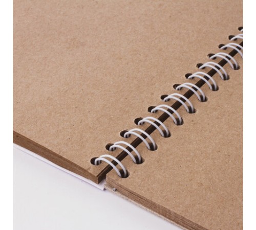 Скетчбук, крафт-бумага 80 г/м2, 145х205 мм, 50 л., гребень, жёсткая подложка, BRAUBERG ART DEBUT, 110986