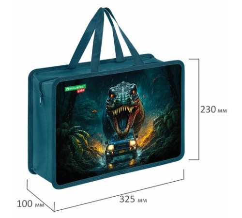 Папка на молнии с ручками BRAUBERG KIDS А4, 1 отделение, пластик, 100 мм, 