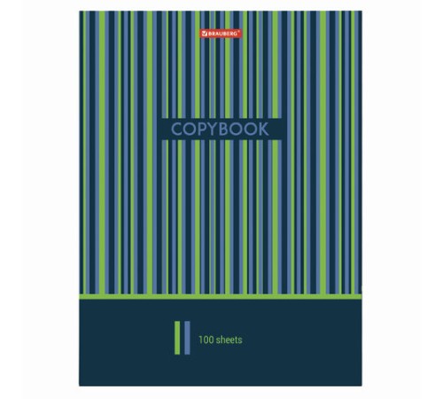 Тетрадь на кольцах БОЛЬШАЯ А4 (225х300 мм), 100 листов, твердый картон, клетка, BRAUBERG, Полосы, 403273