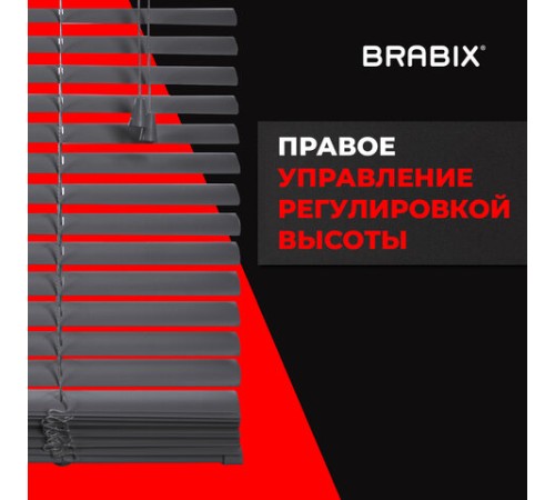 Жалюзи горизонтальные BRABIX 40х155 см, ПЛАСТИК, цвет серый, 608609 Жалюзи горизонтальные BRABIX 40х155 см, ПЛАСТИК, цвет серый, 608609