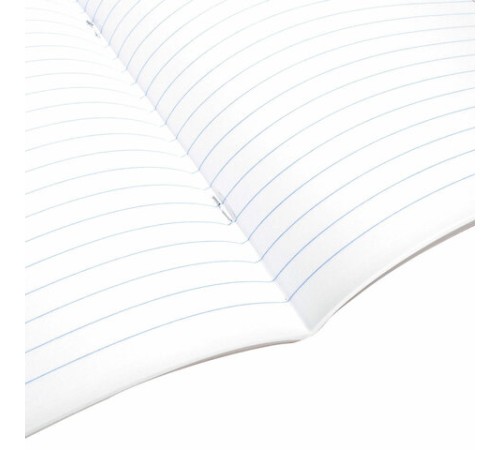 Тетрадь предметная PIGMENT 48 л., глянцевый УФ-лак, РУССКИЙ ЯЗЫК, линия, подсказ, BRAUBERG, 404767