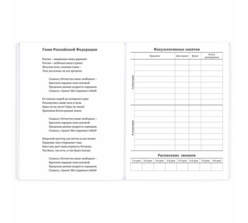 Дневник 1-11 класс 40 л., на скобе, ПИФАГОР, обложка картон, 