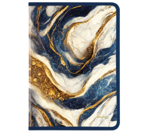 Папка на молнии для документов и тетрадей пластиковая BRAUBERG 