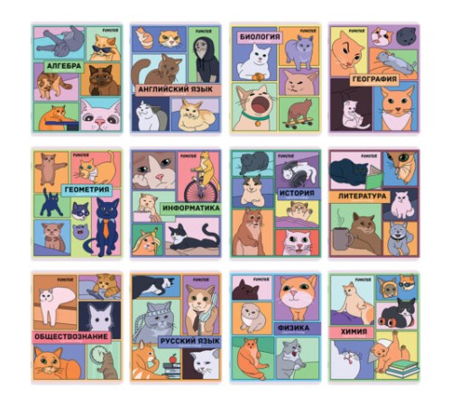 Тетради предметные, КОМПЛЕКТ 12 ПРЕДМЕТОВ, 48л, TWIN лак, FUNSTER, МЕМНЫЕ КОТЫ, 405604