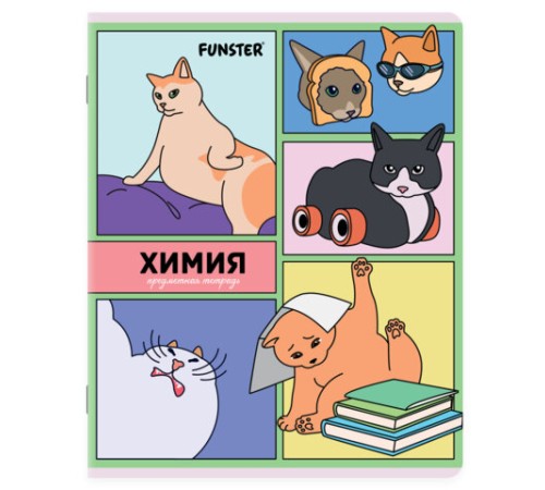Тетради предметные, КОМПЛЕКТ 12 ПРЕДМЕТОВ, 48л, TWIN лак, FUNSTER, МЕМНЫЕ КОТЫ, 405604