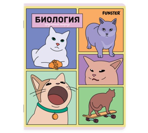 Тетради предметные, КОМПЛЕКТ 12 ПРЕДМЕТОВ, 48л, TWIN лак, FUNSTER, МЕМНЫЕ КОТЫ, 405604