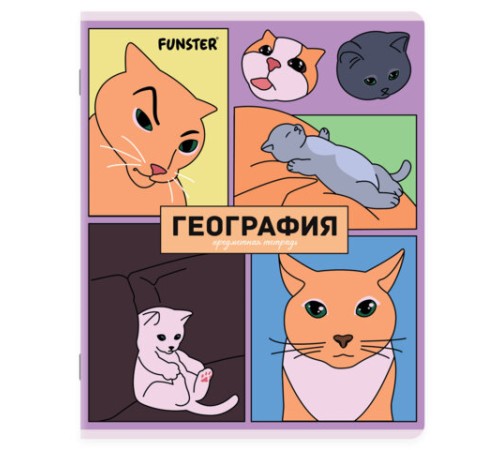 Тетради предметные, КОМПЛЕКТ 12 ПРЕДМЕТОВ, 48л, TWIN лак, FUNSTER, МЕМНЫЕ КОТЫ, 405604