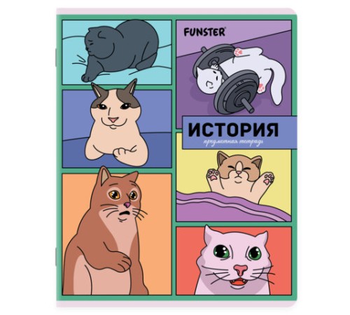 Тетради предметные, КОМПЛЕКТ 12 ПРЕДМЕТОВ, 48л, TWIN лак, FUNSTER, МЕМНЫЕ КОТЫ, 405604
