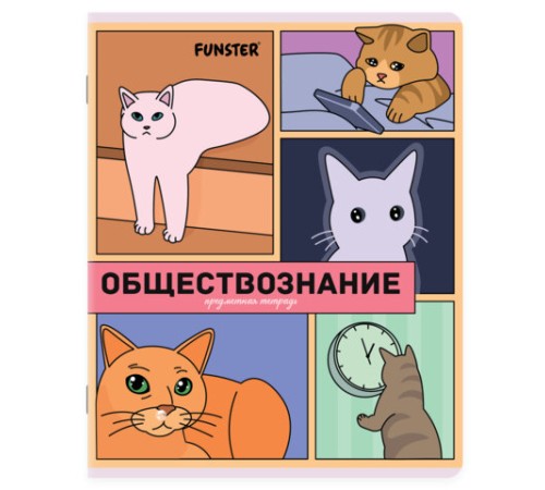 Тетради предметные, КОМПЛЕКТ 12 ПРЕДМЕТОВ, 48л, TWIN лак, FUNSTER, МЕМНЫЕ КОТЫ, 405604