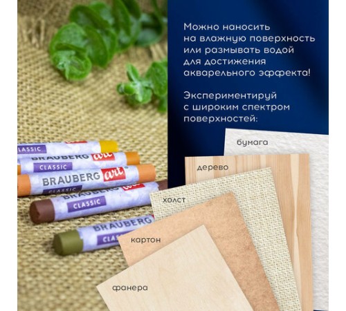 Пастель сухая художественная BRAUBERG ART CLASSIC, 12 цветов, ЗЕМЛЯНЫЕ ТОНА, круглое сечение, 181457