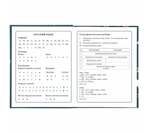 Дневник 1-4 класс 48 л., твердый, ЮНЛАНДИЯ, глянцевая ламинация, с подсказом, 